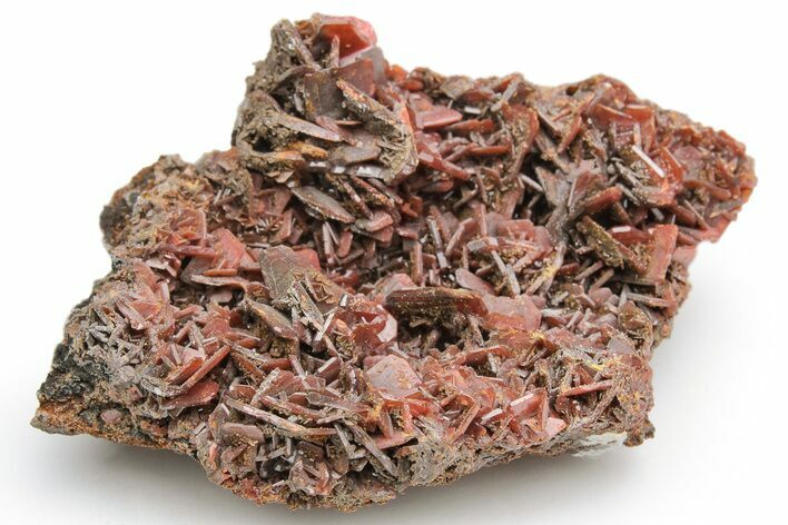Striking, Red-Brown Wulfenite Cluster - Kuruktag Mountains, China #225013